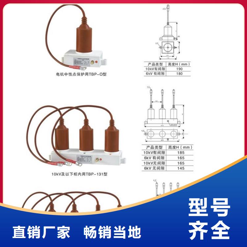 过电压保护器(组合式避雷器)TBP-C-12.7/131-J