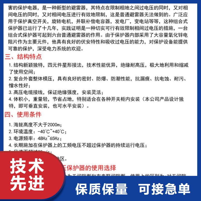 过电压保护器(组合式避雷器)YH5CD-3.8/9.5*3.8/9.5