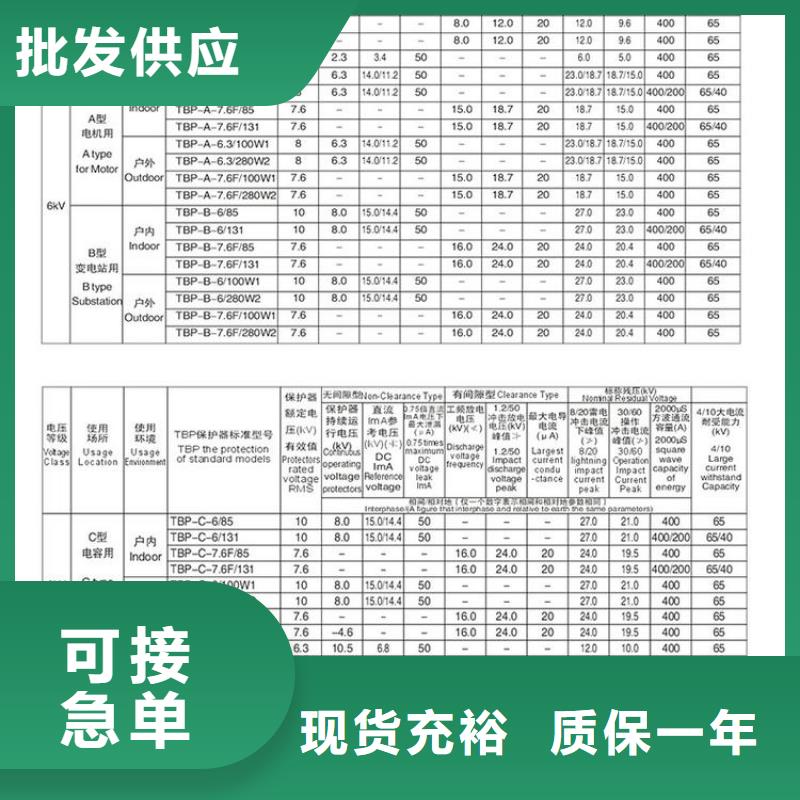 过电压保护器TBP-A-12.7/85-J