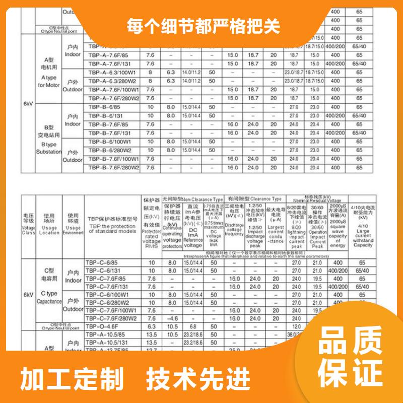 〖过电压保护器〗BSTG-A-17/600全国发货