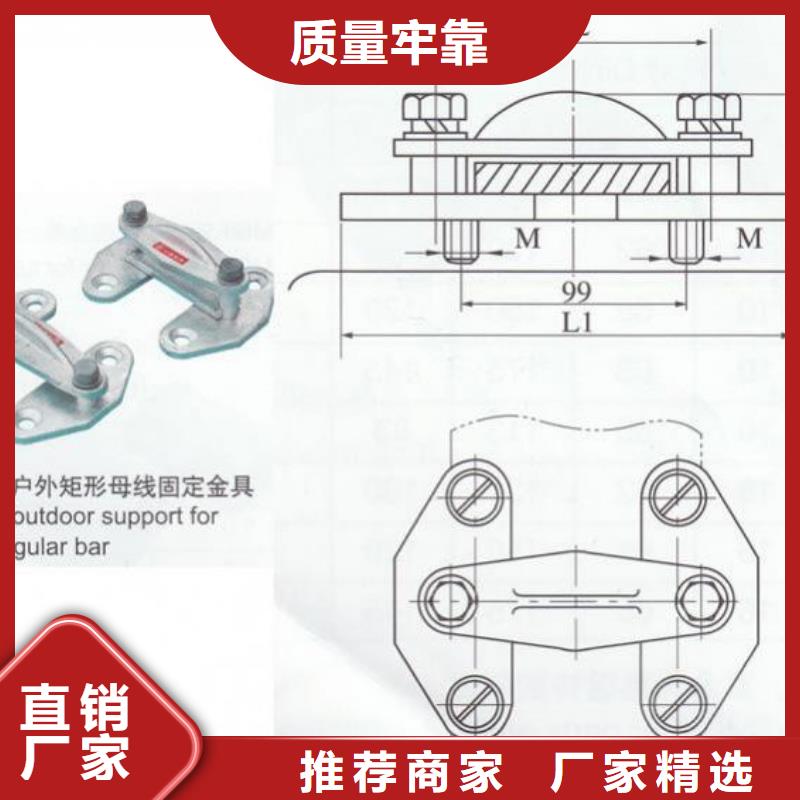 ZSW2-220/8.5支柱绝缘子【上海羿振电力设备有限公司】