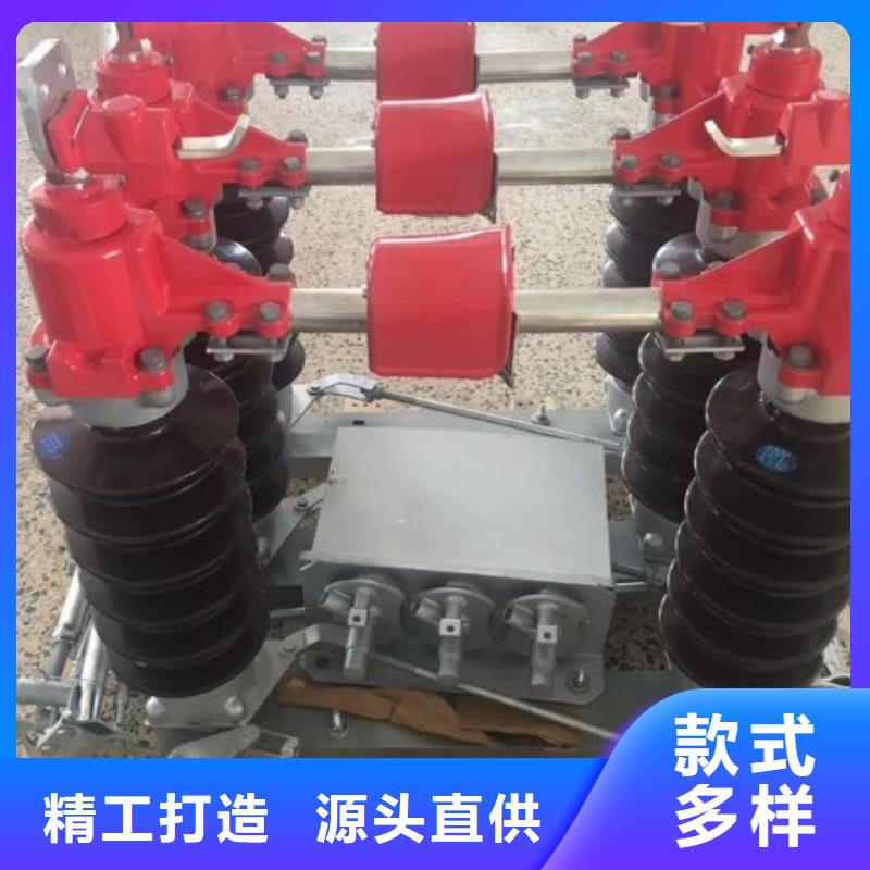 高压隔离开关HGW1-12KV/630A