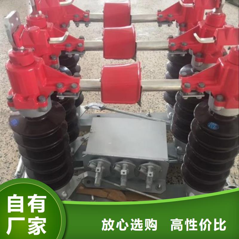 高压隔离开关GW1-10KV/630