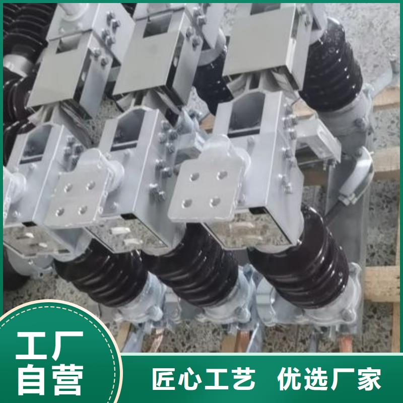 高压隔离开关HGW1-12KV/630A