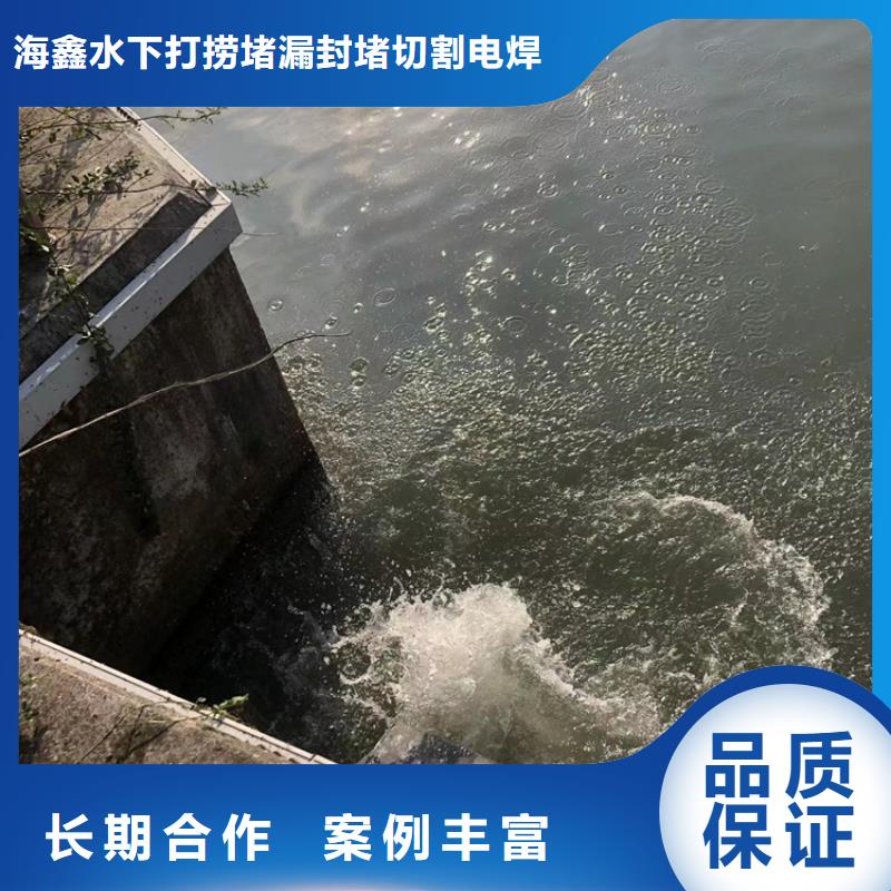 沉船打捞电站、水库闸门检修