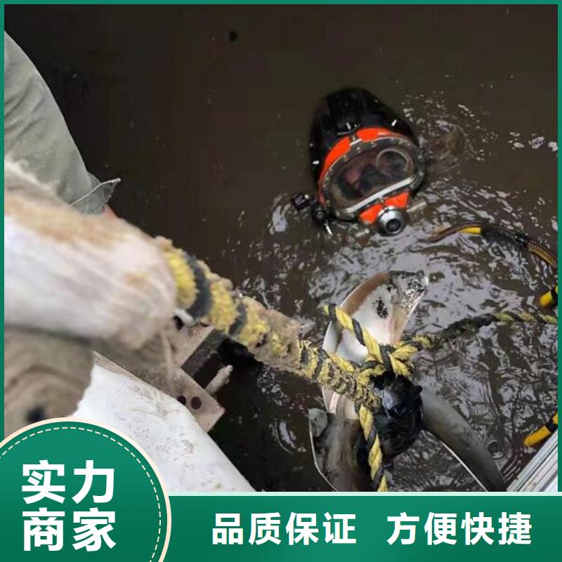 黄浦区水下救援打捞_检测、拆除