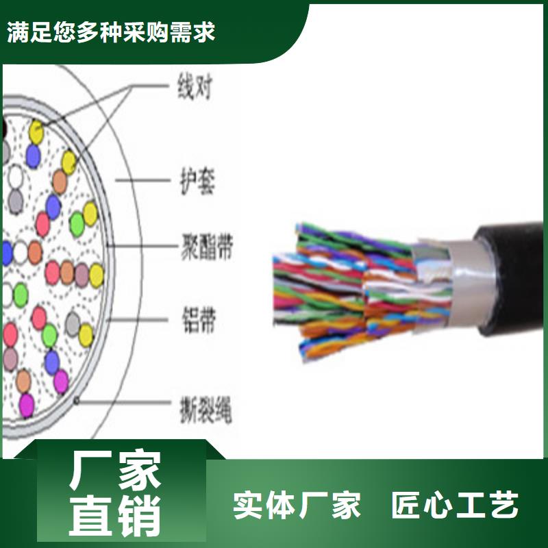 通信电缆信号电缆随心所欲定制