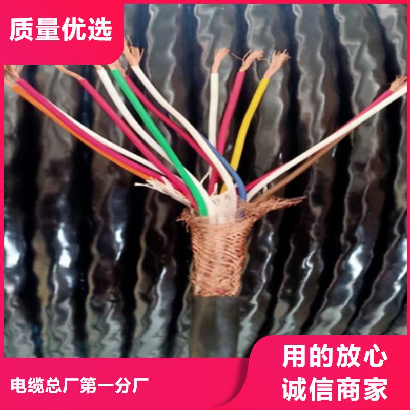 规格全的耐火计算机电缆NH-DJYPV22实体厂家