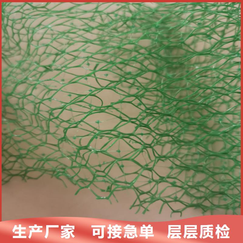 三维植被网_防草布一对一为您服务