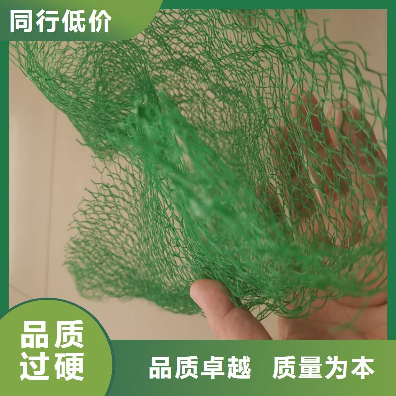 三维植被网【水泥毯】销售的是诚信