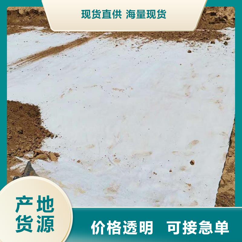 膨润土防水毯土工布实体厂家大量现货