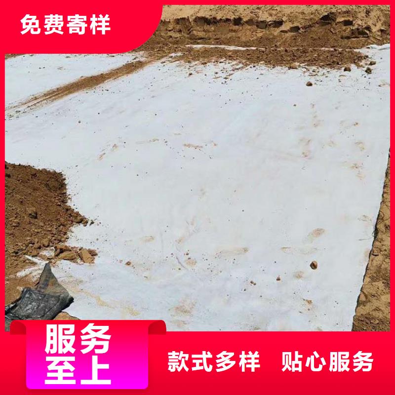 膨润土防水毯土工格栅实体厂家大量现货