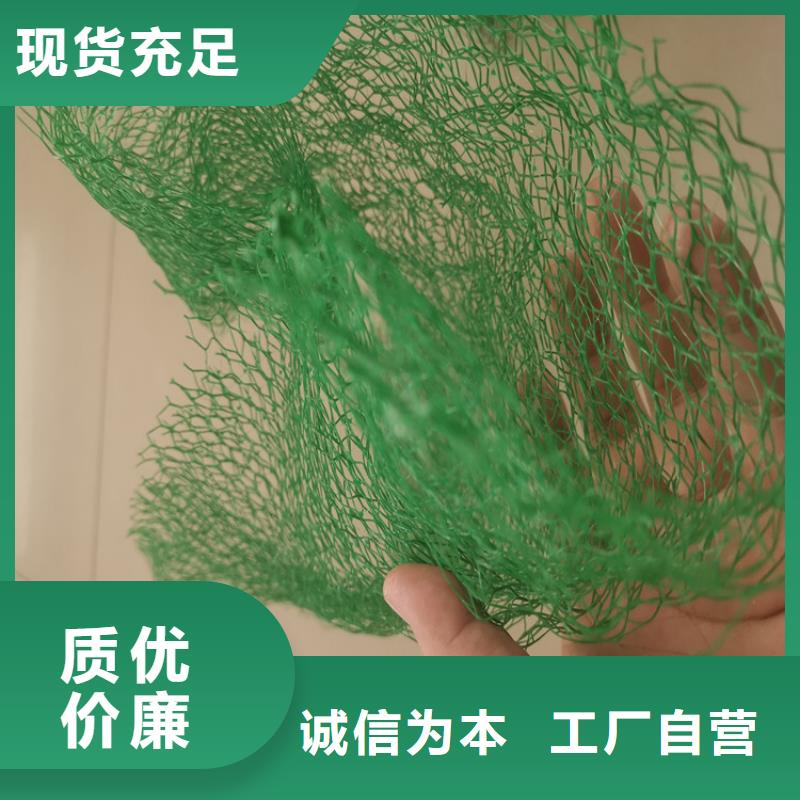 【三维植被网】土工布现货采购