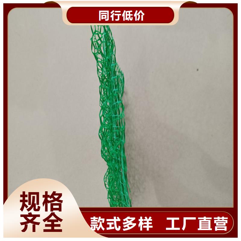 三维植被网-车库顶板排水板质量上乘