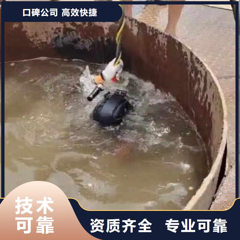 潜水员蛙人水中服务来厂考察浪淘沙水工