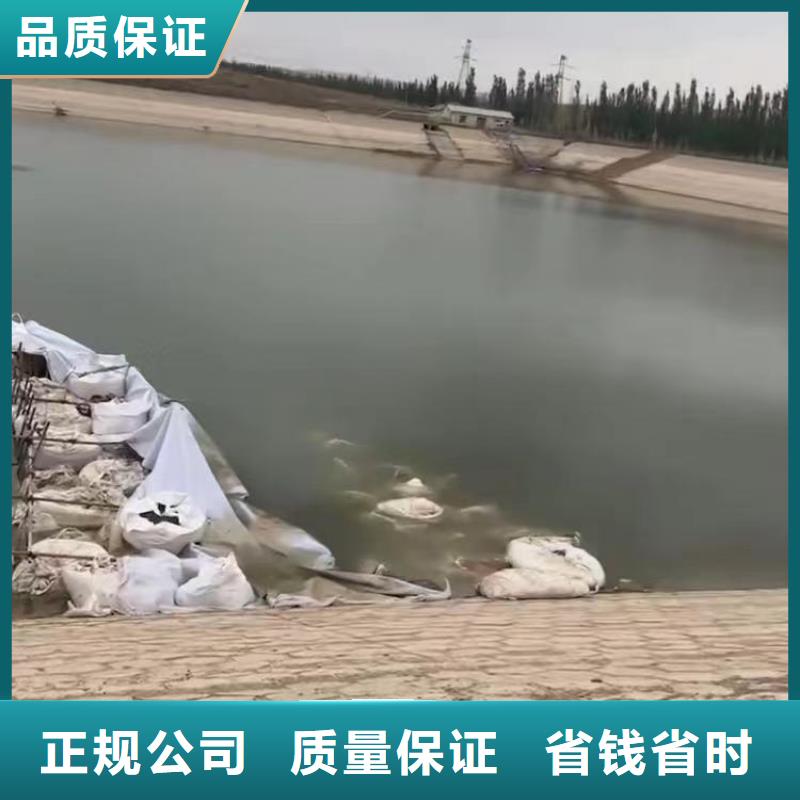 水中电焊生产厂家浪淘沙水工