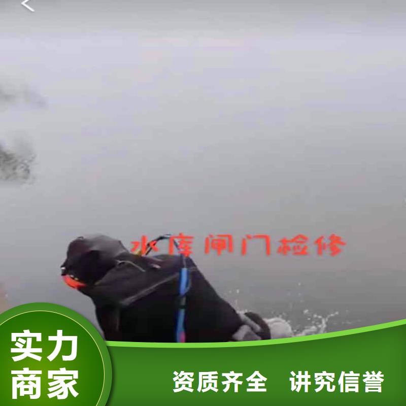 水中拍照实力厂家同城蛙人打捞