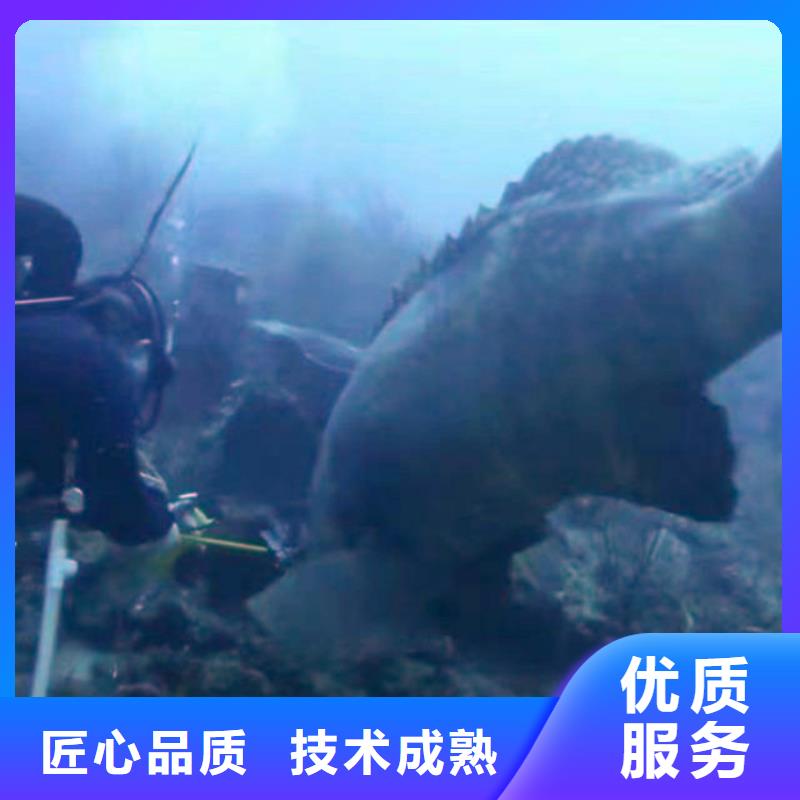 污水厂打捞推流器厂家直供浪淘沙水工