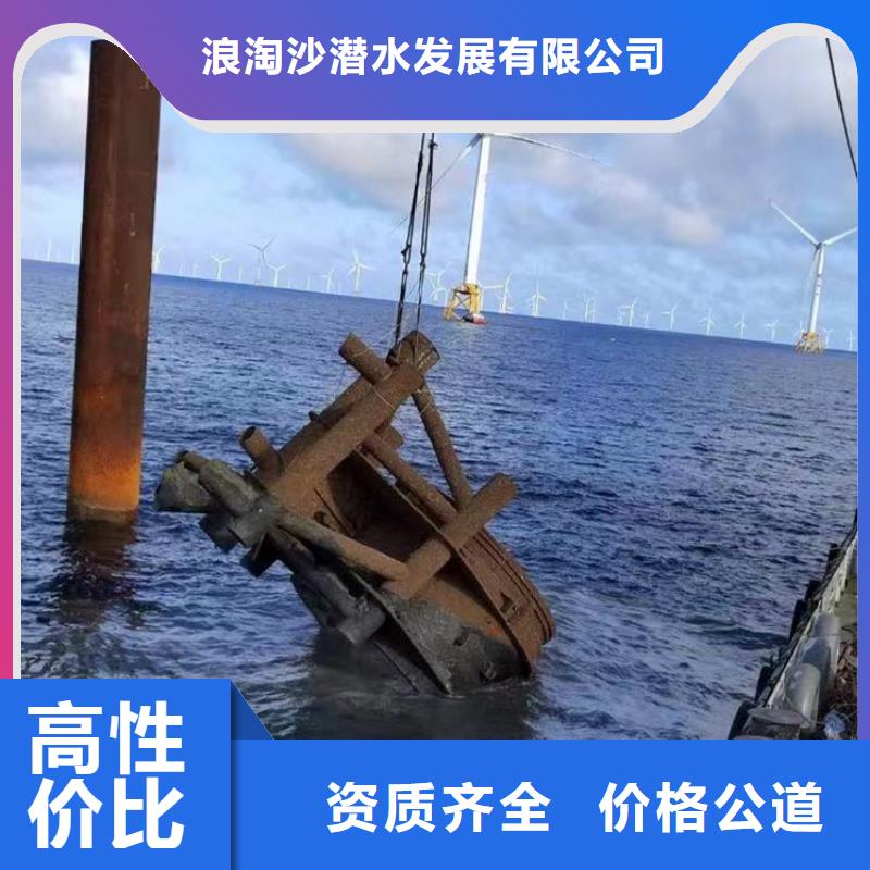 污水厂打捞泵优惠报价浪淘沙水工