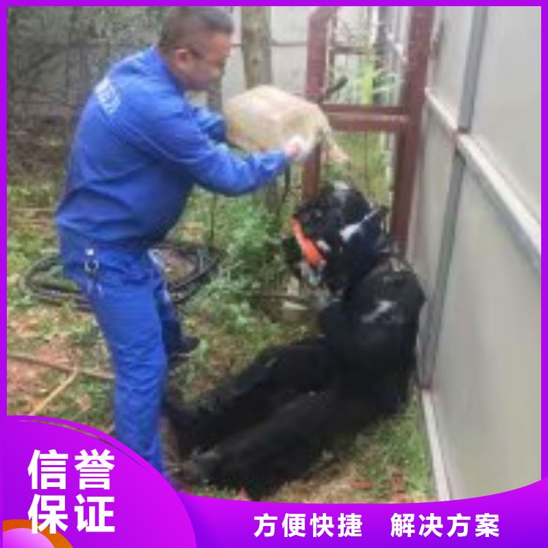 潜水员水中检查闸门提升螺杆总代直销