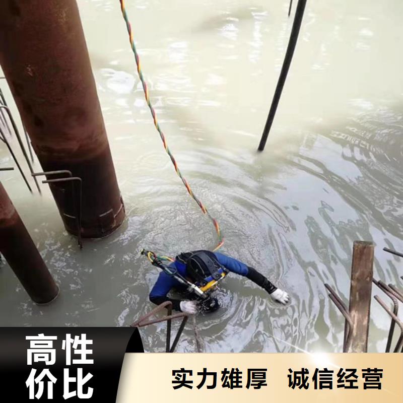 诚信经营潜水更换微孔曝气盘厂家