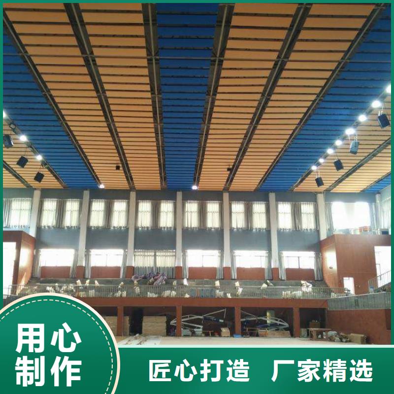 鸠江区集团公司体育馆声学改造公司--2025最近方案/价格