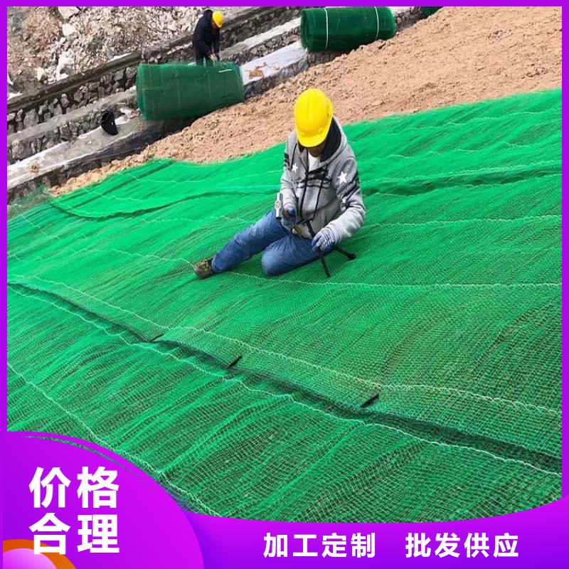 三维植被网,【铜止水生产厂家】量大从优