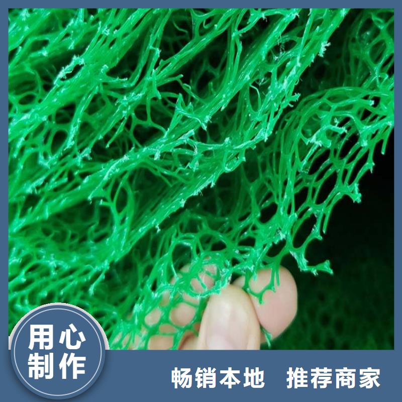 【三维植被网】铜止水生产厂家现货直供