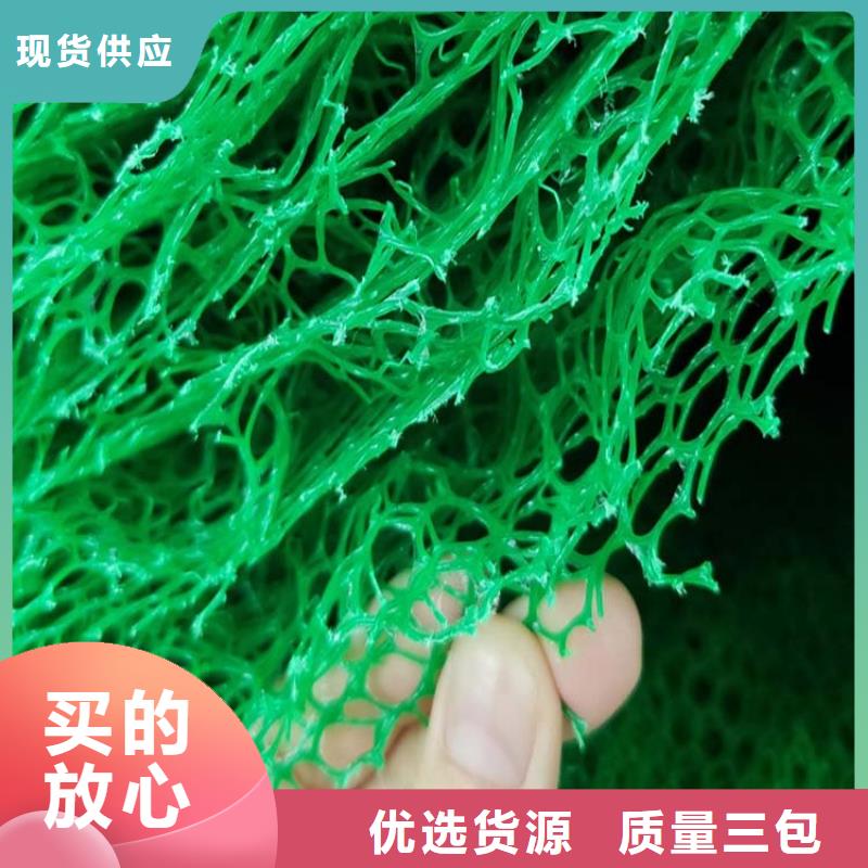 三维植被网_pp杜拉纤维原厂制造