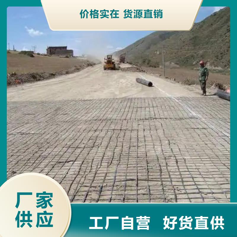 双向塑料土工格栅-双向塑料土工格栅实力厂家