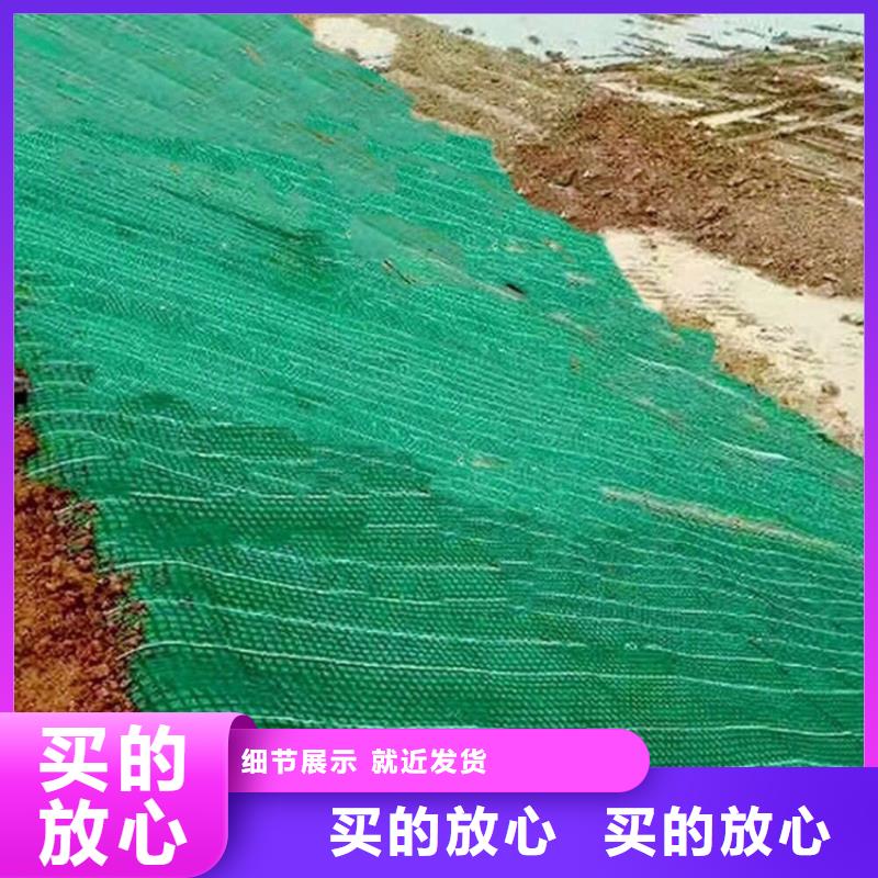 昌江县椰纤植生毯加筋抗冲生物毯价格资讯