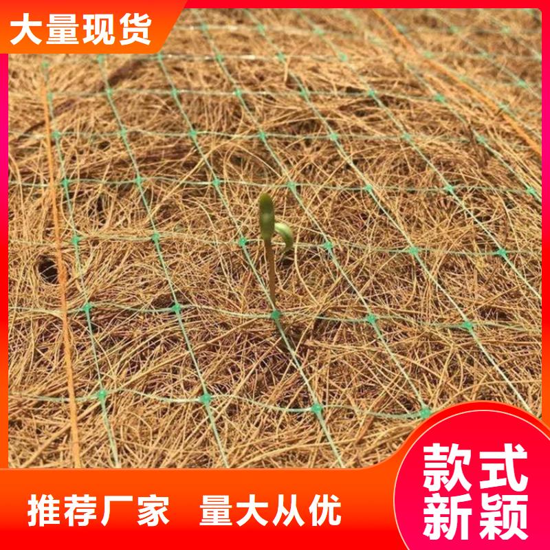 椰纤植生毯生态环保草毯