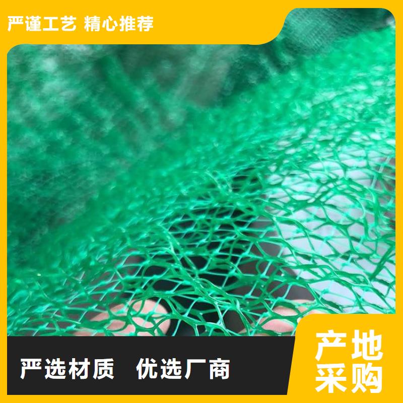 三维植被网【玻纤土工格栅】产品细节