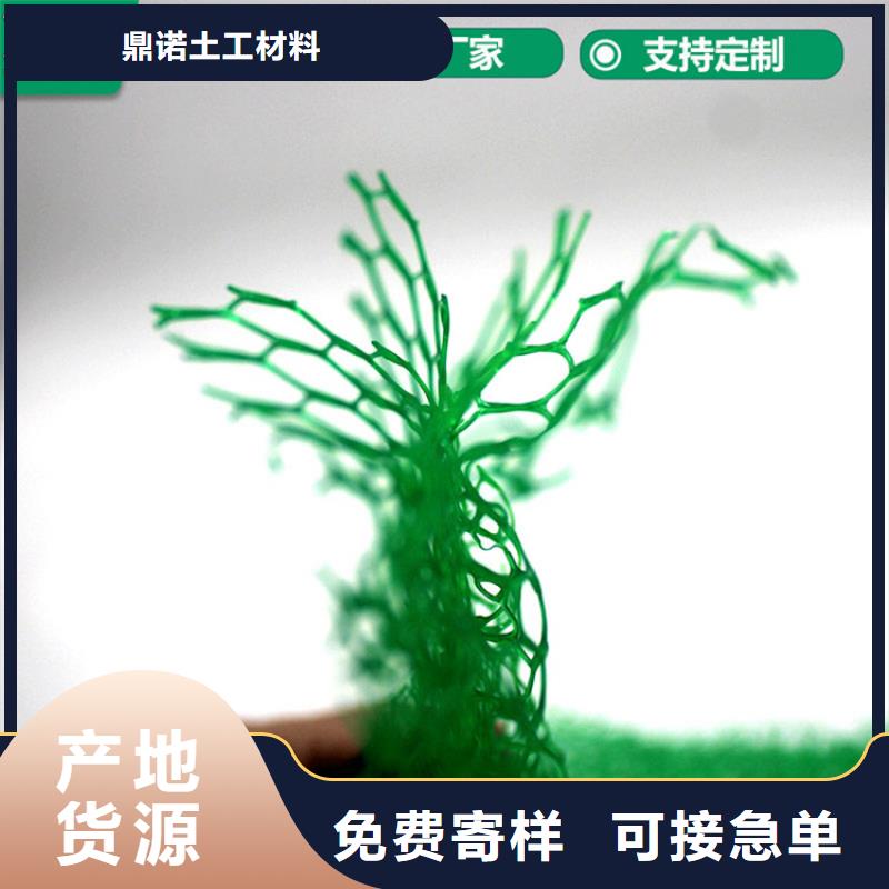 三维植被网-膨润土防水毯的简单介绍