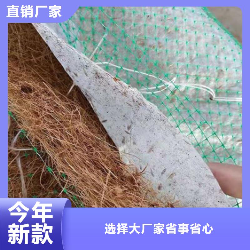 植生椰丝毯-生态环保草毯-椰丝环保草毯