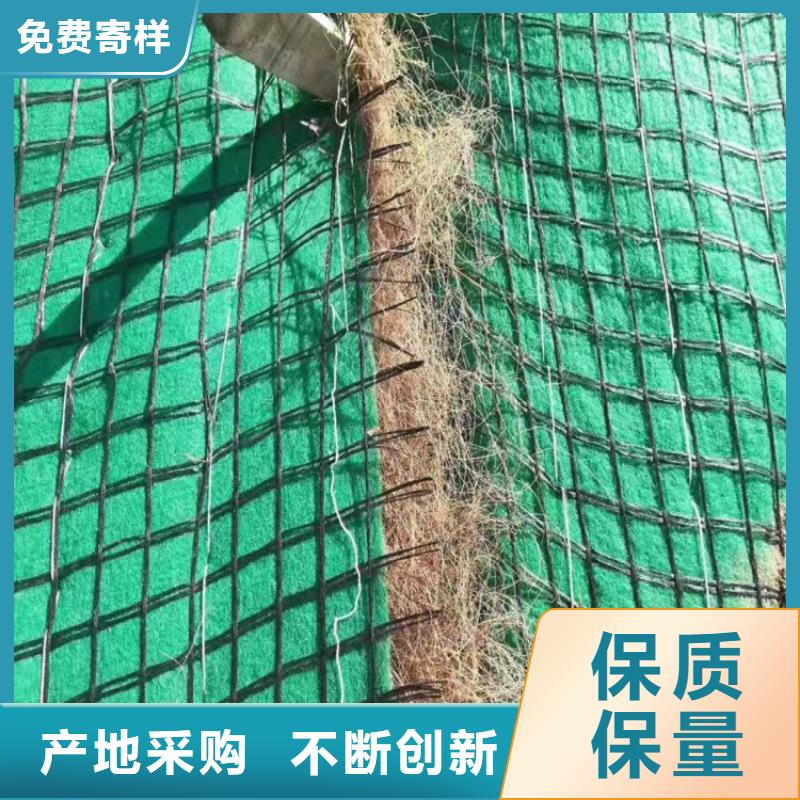 椰纤植生毯质优价廉