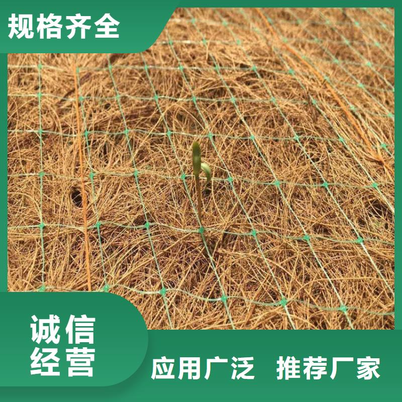 植物纤维毯-加筋抗冲生物毯-椰丝绿化毯