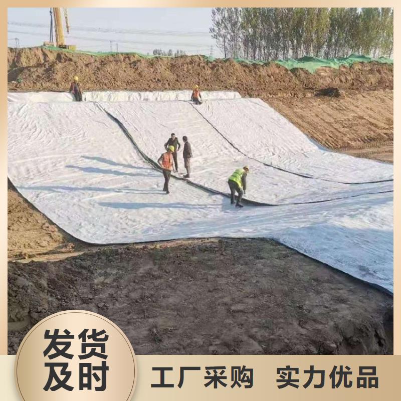 膨润土防水毯排水板多年经验值得信赖