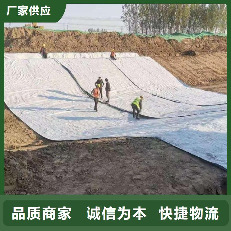 膨润土防水毯土工布支持定制贴心售后