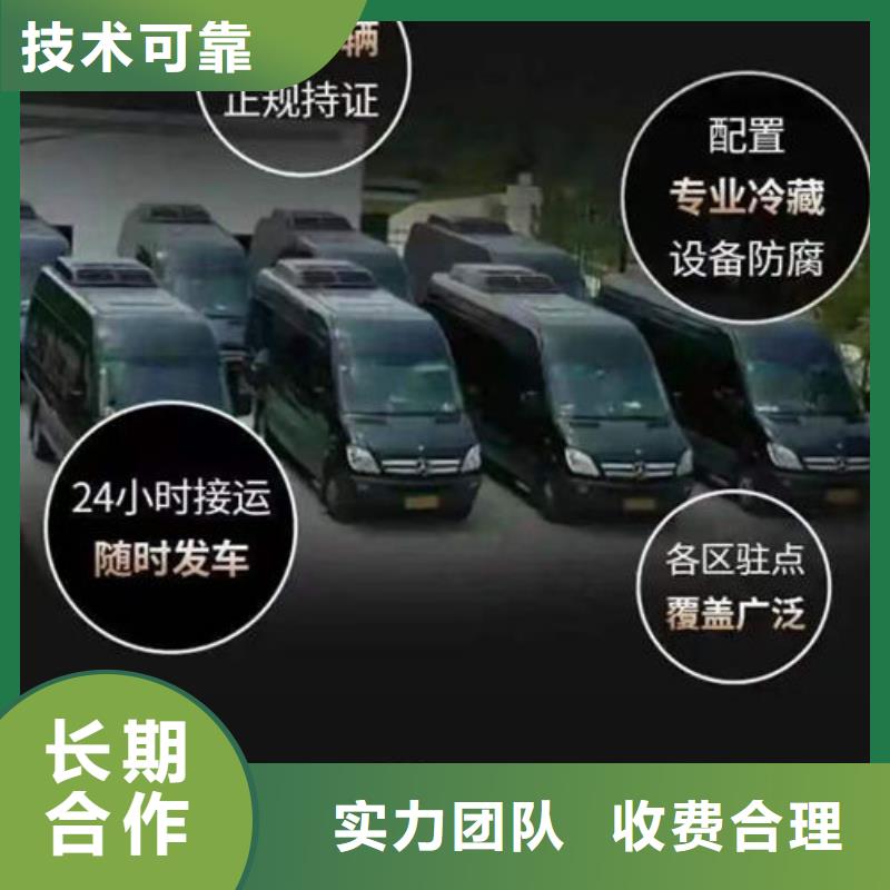 殡葬2025专业的团队