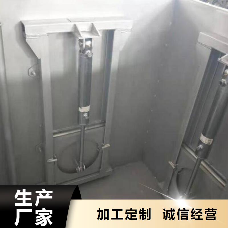 【截流井闸门】平面铸铁闸门应用范围广泛