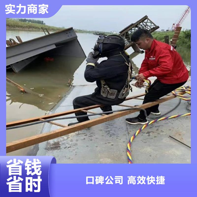 蛙人水下检测价格走势