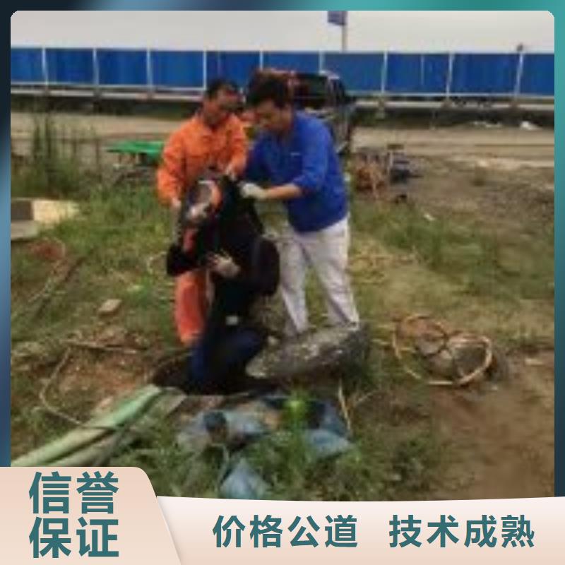 水库电站闸门水下检修公司订购