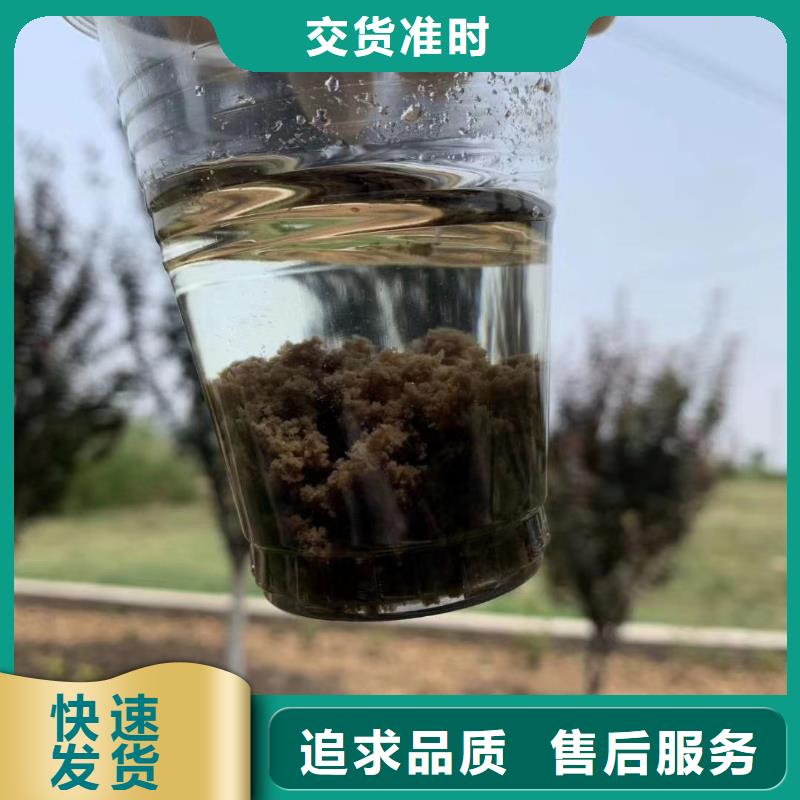 微生物菌种