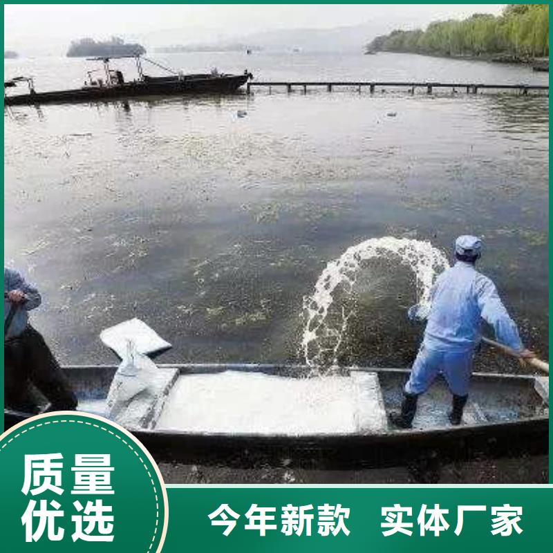 大规模氨氮去除剂厂家