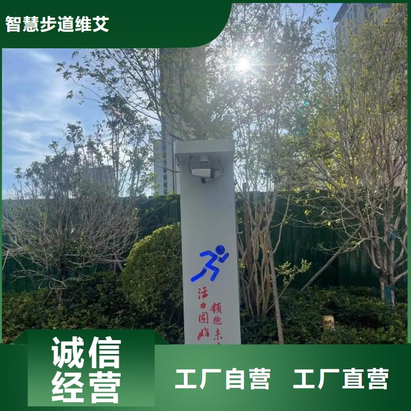 ai校园体育设计方案（维艾狄尔）