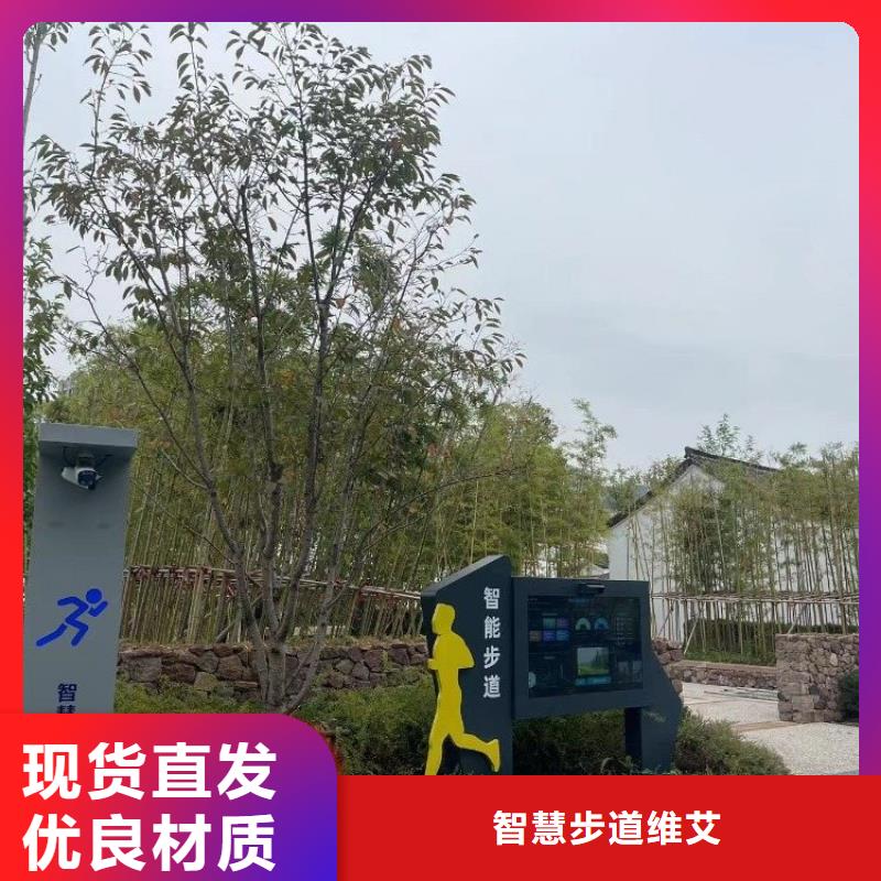 智能体育公园价格