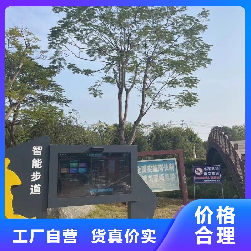 智慧步道系统价格（支持定制）