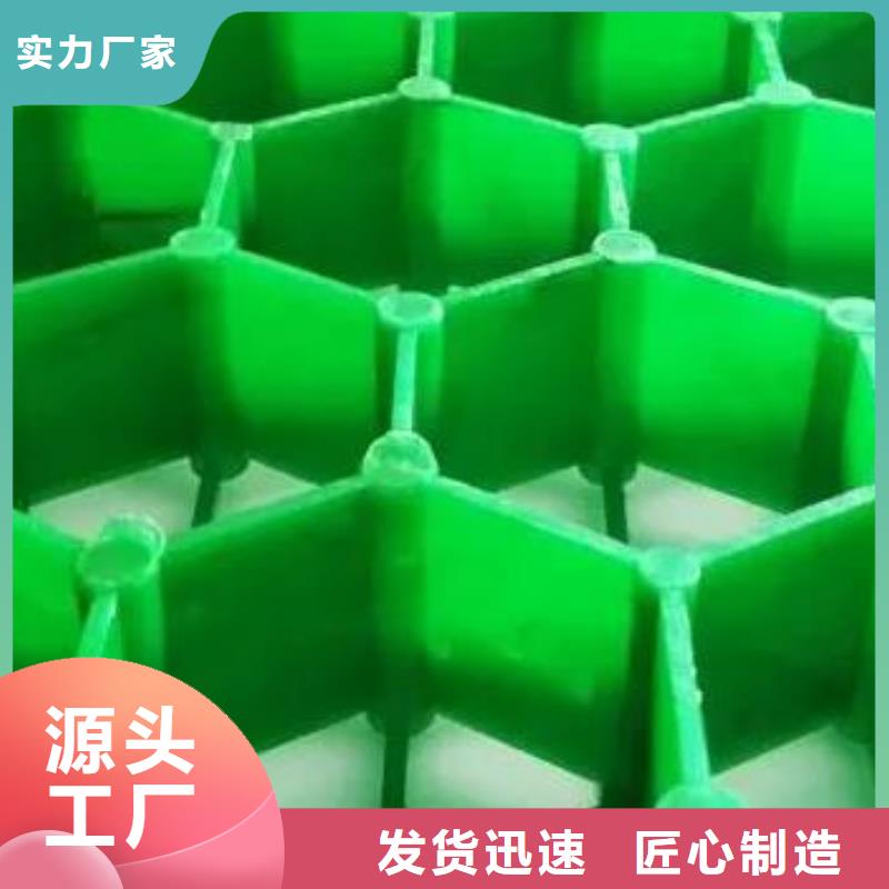 【植草格】水泥化粪池严格把控质量