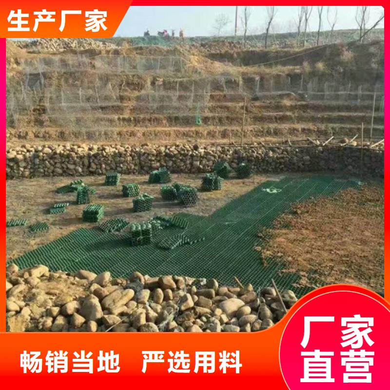 植草格价格-2025已更新